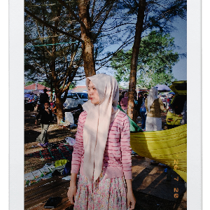 Ardina